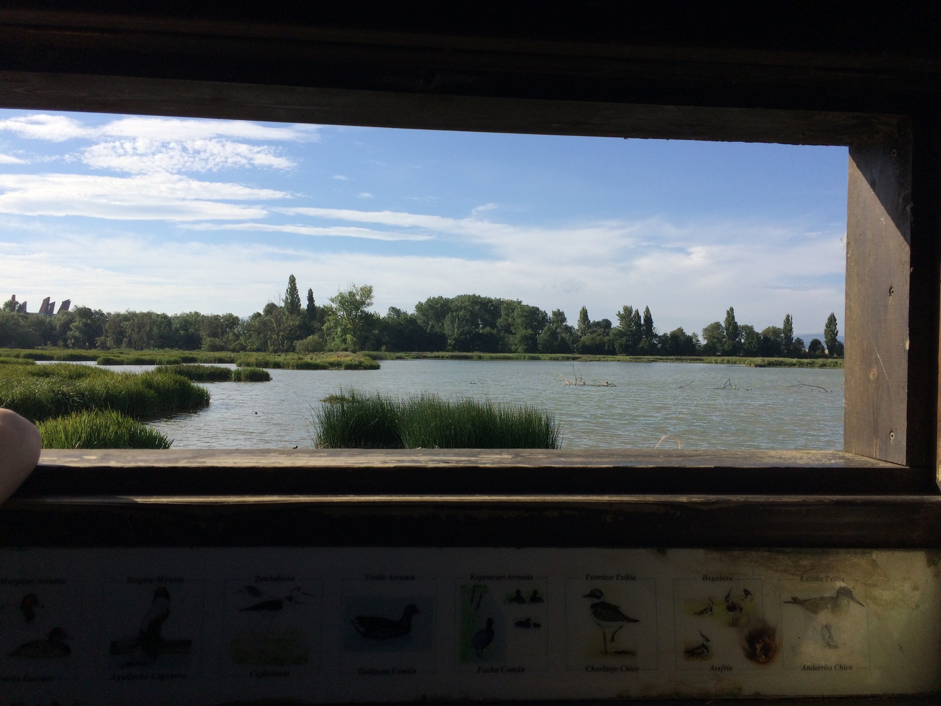 Humedal - Vitoria-Gasteiz