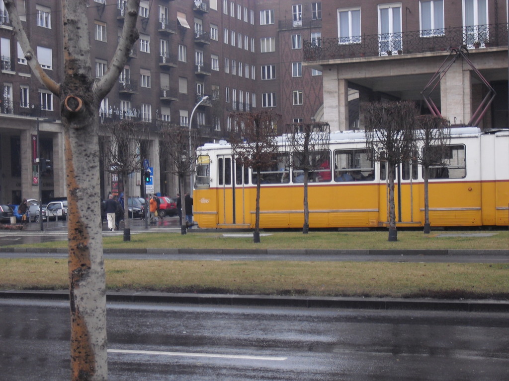 If Forest lived in Budapest...