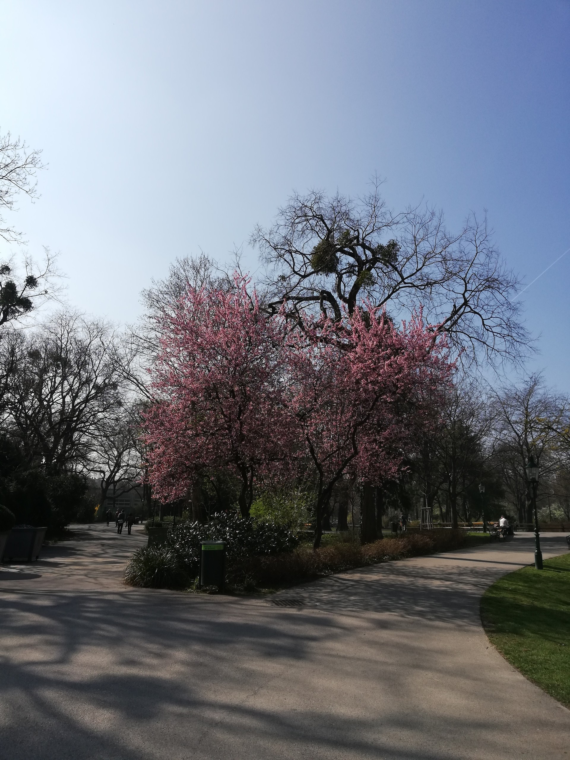Il colorato parco di Vienna