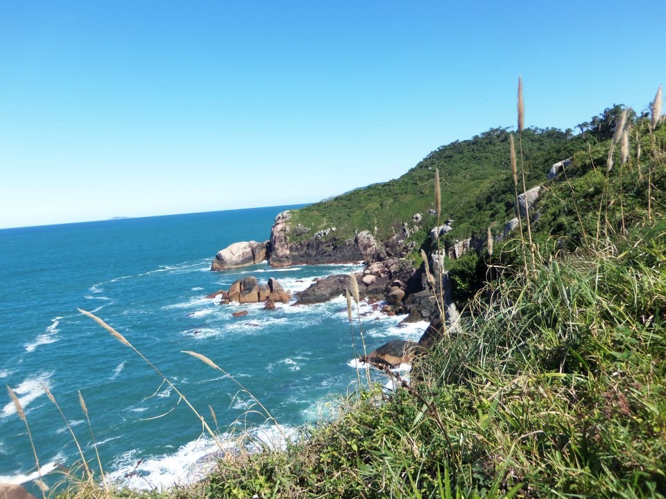 Ilha Campeche (Campeche Island) | What to see in Florianópolis