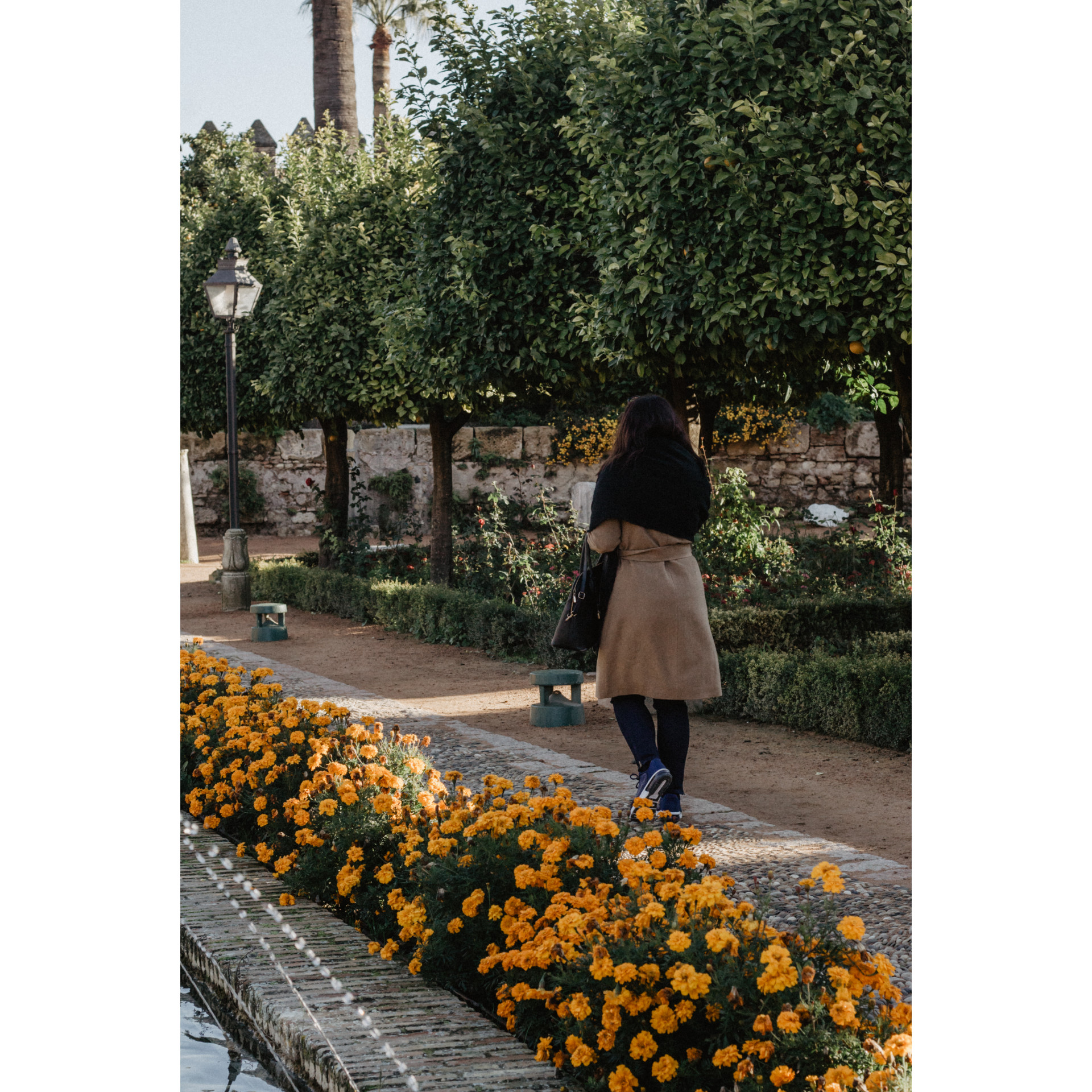 Interno giardini Alcazar