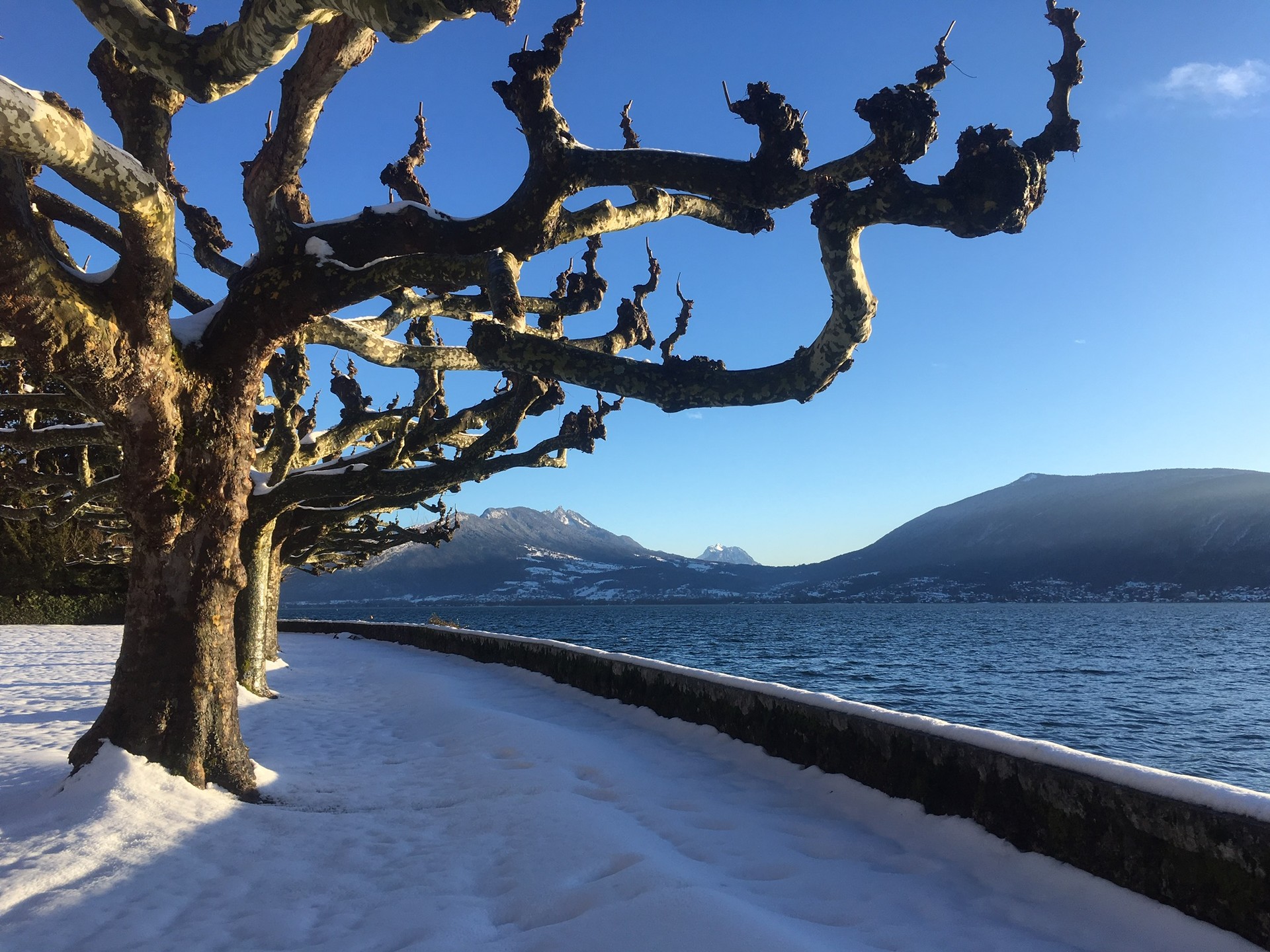 It’s snowinf at work!