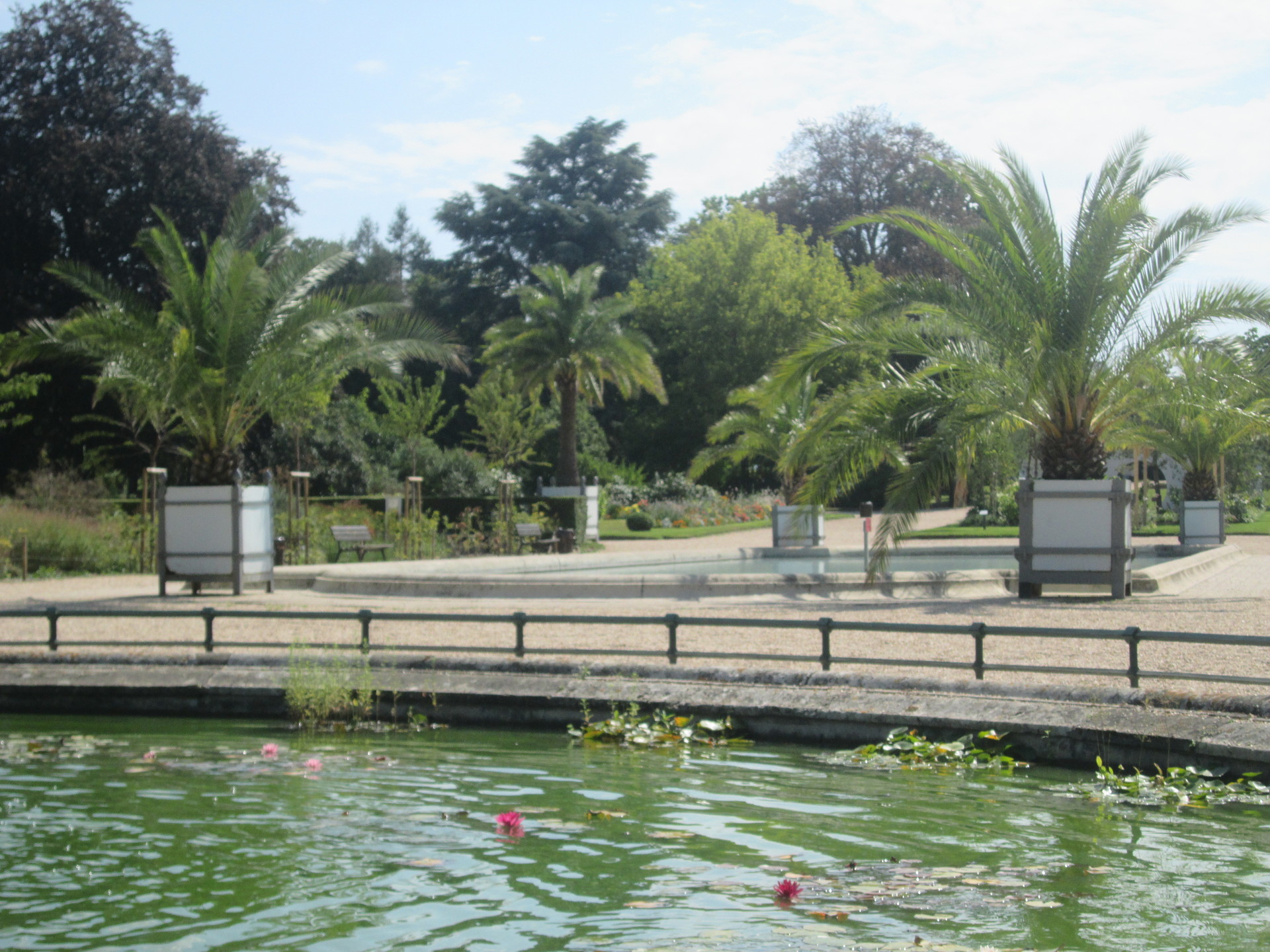 Jardin des Plantes.