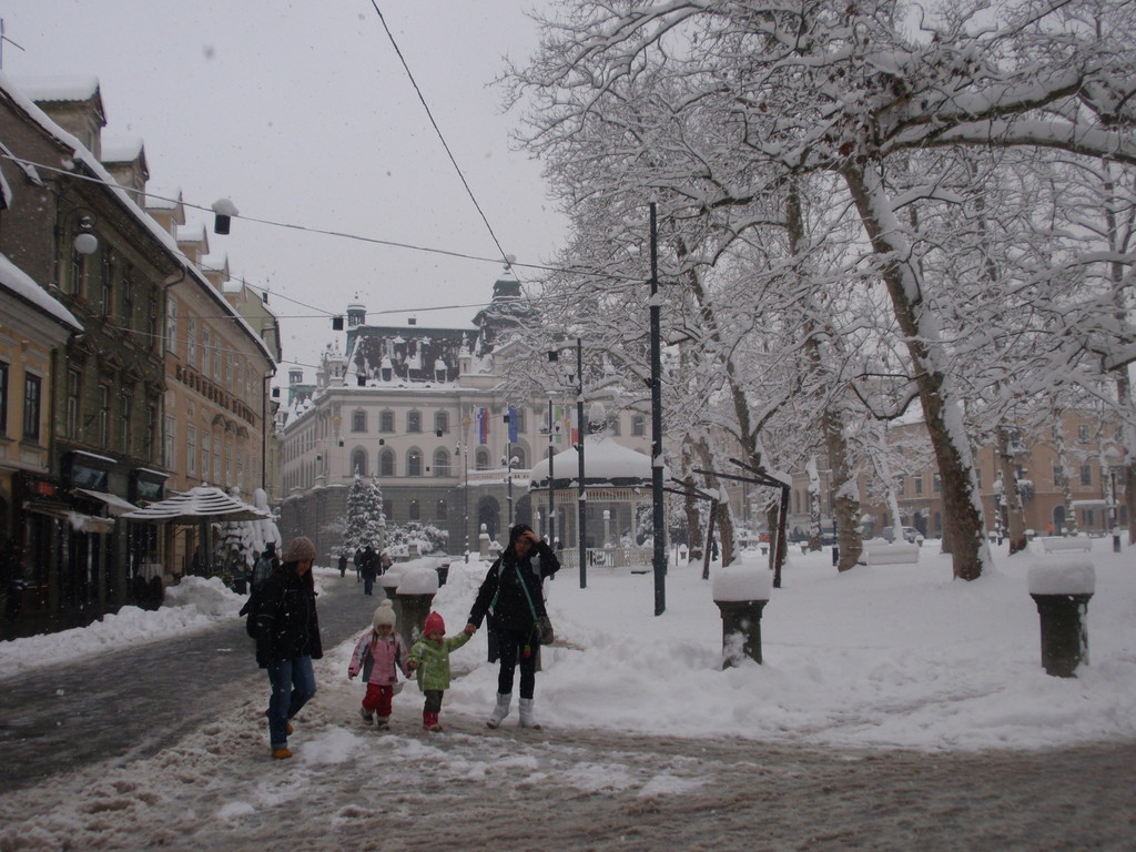 Kongresni trg nevado