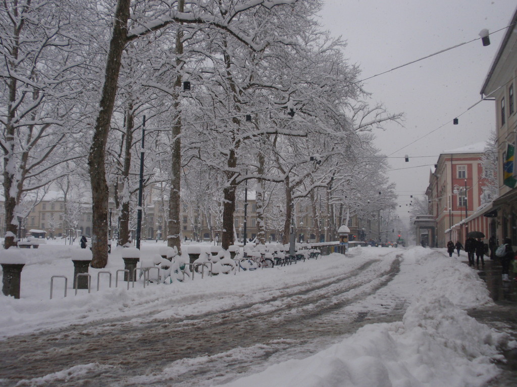 Kongresni trg nevado