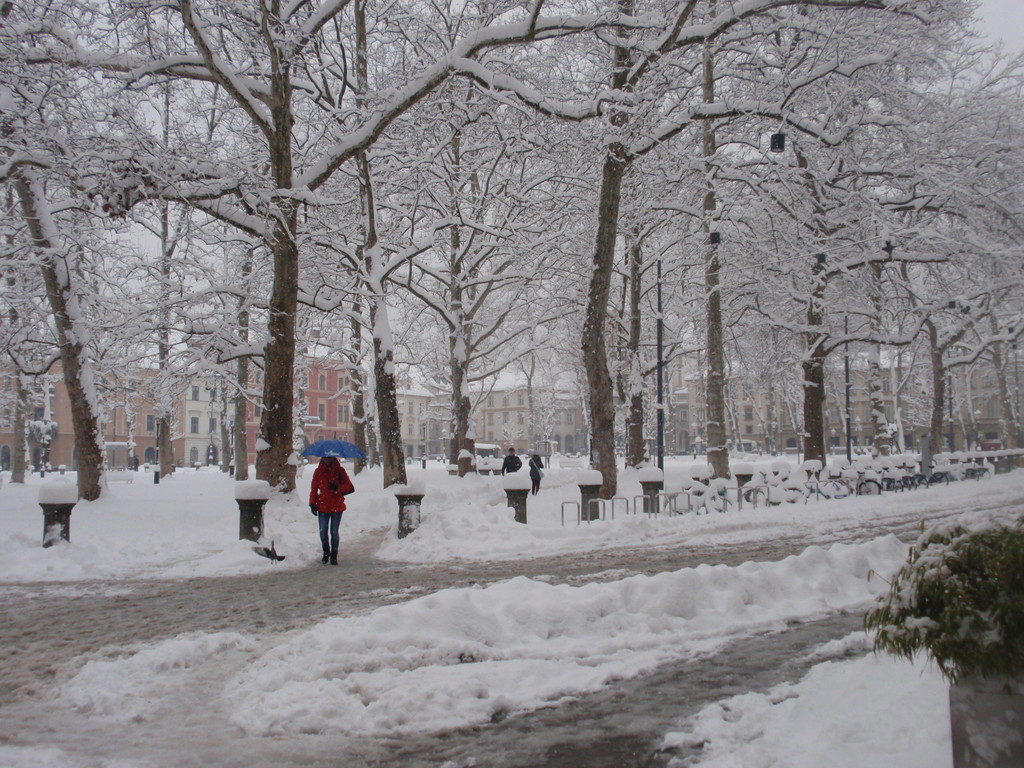Kongresni trg nevado