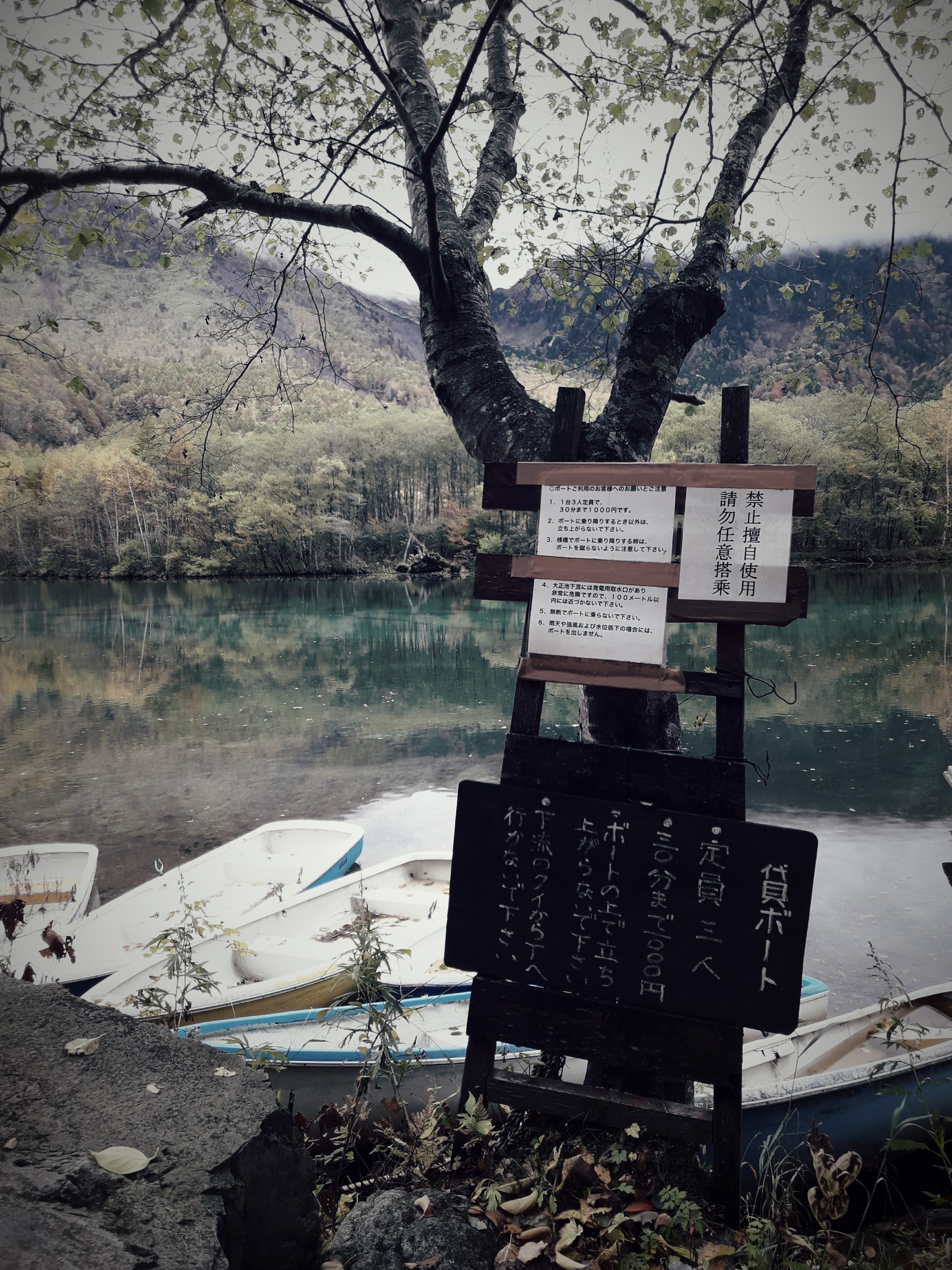 sympati Ligegyldighed Charlotte Bronte Land of the kappa | Erasmus blog Matsumoto, Japan