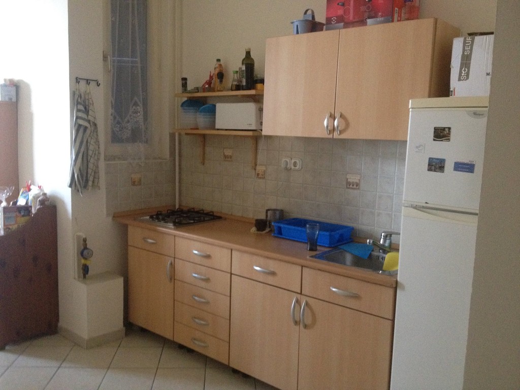 Room for rent in large central appartment fully furnished with 2 ...