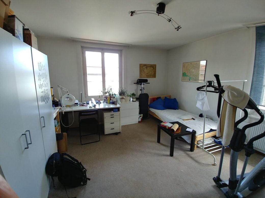 Large Shared Apartment Room for rent Bern