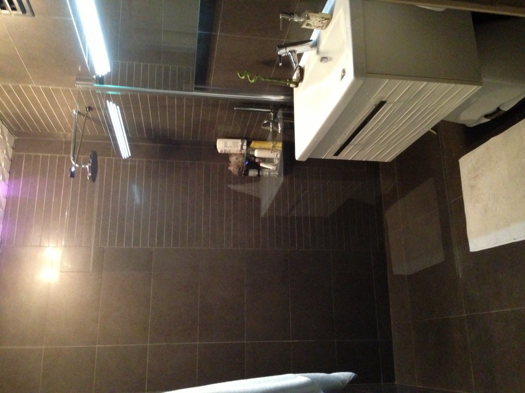 Large and sunny apartment with a small garden, in central Istanbul