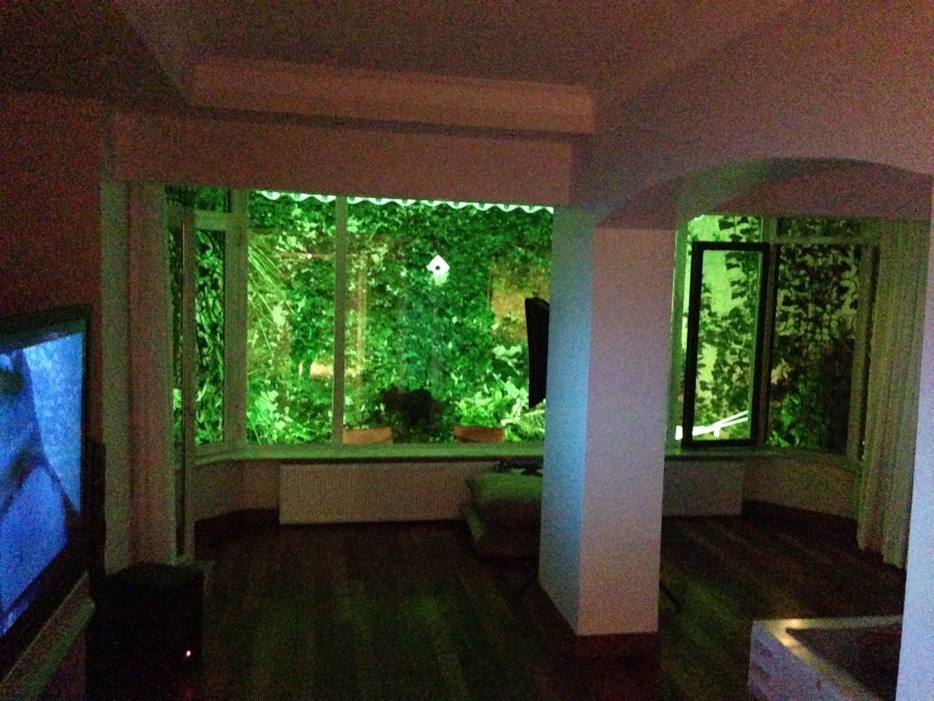 Large and sunny apartment with a small garden, in central Istanbul