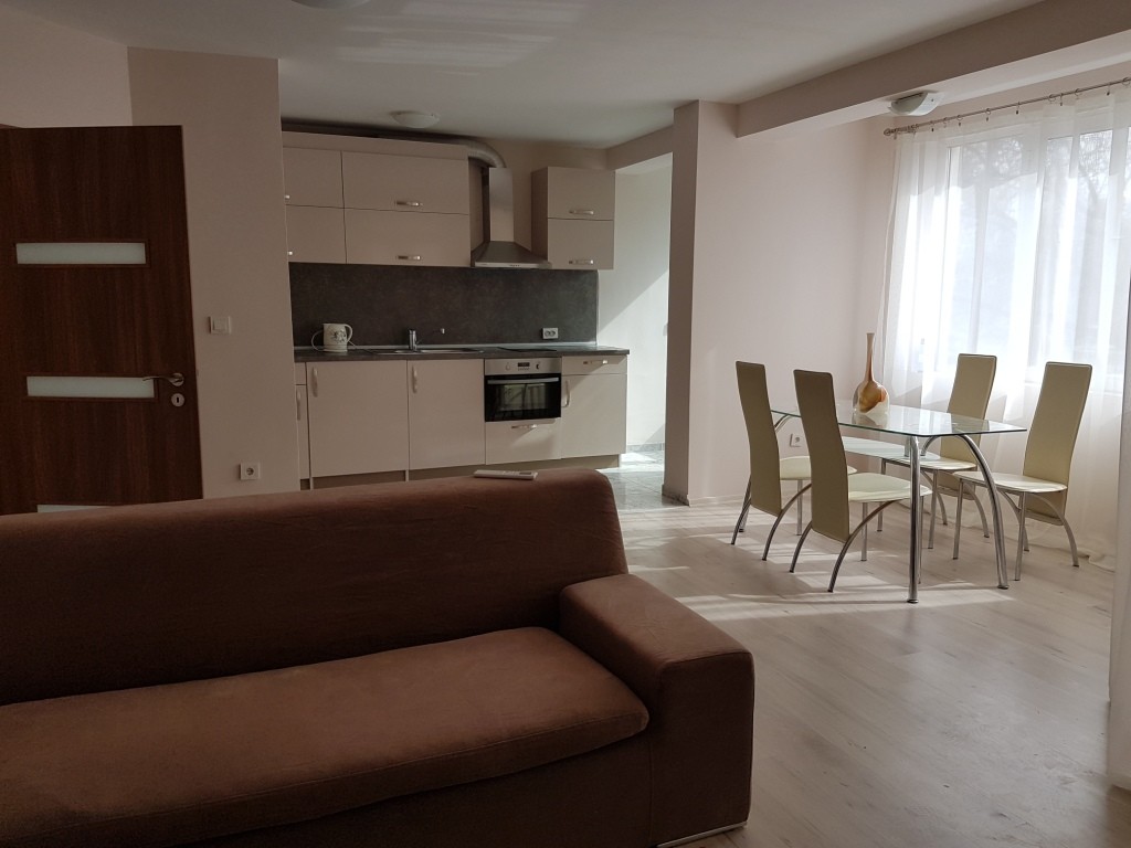 large and sunny apartment in Sofia Flat rent Sofia