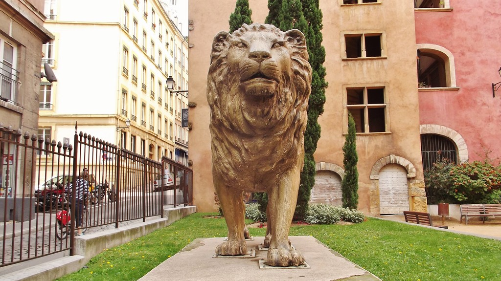 Coupe du Monde f minine 2019 Lyon