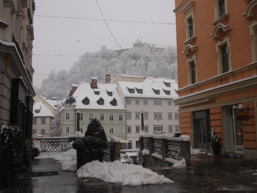 Ljubljanski grad nevado