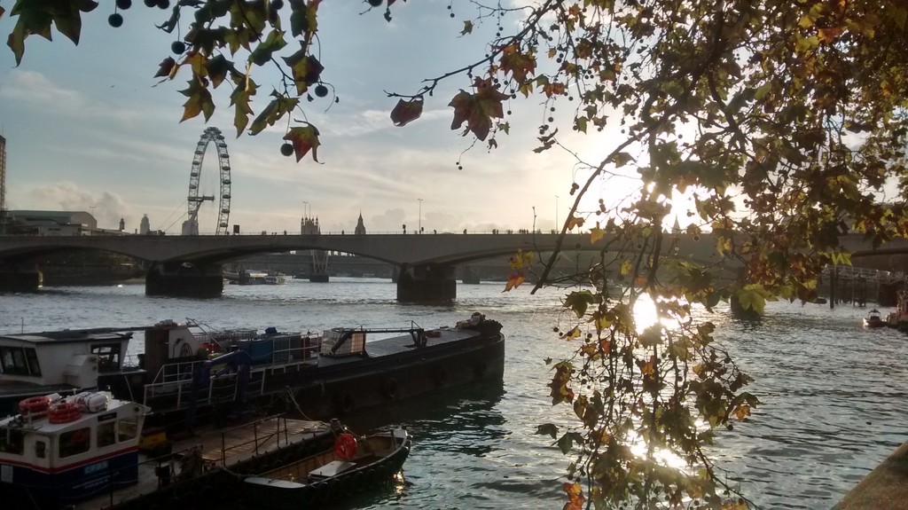 London Eye from the Thames river