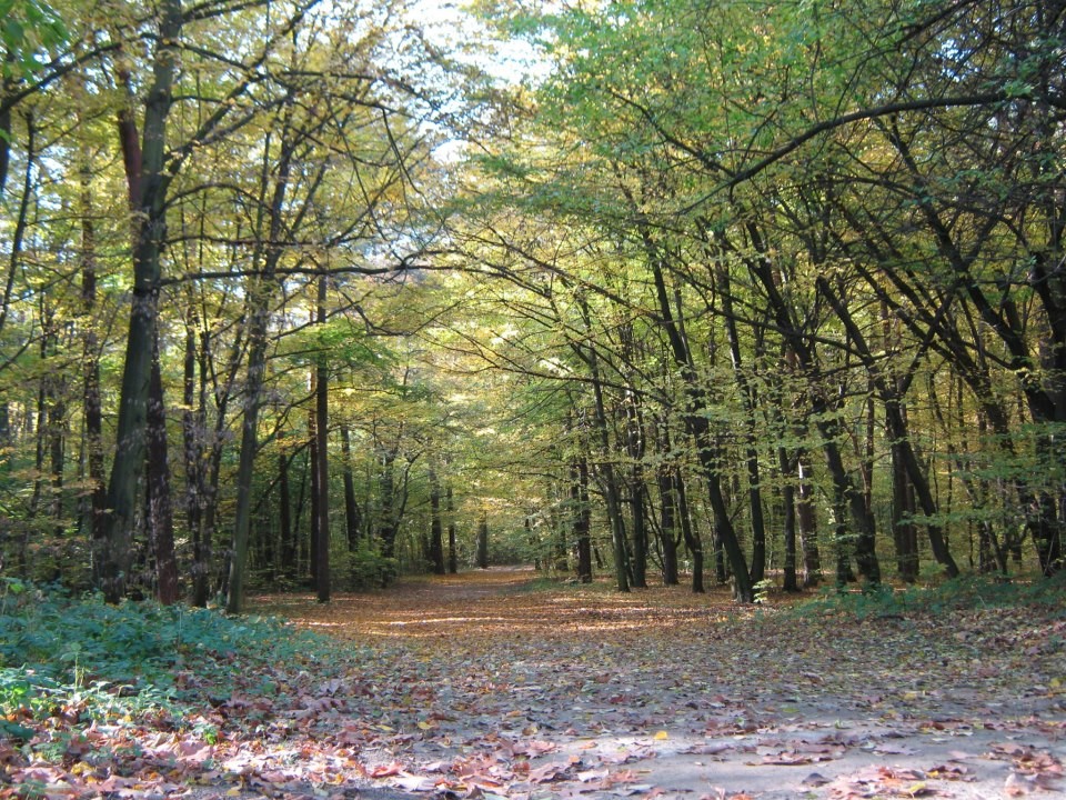 Long path to the future