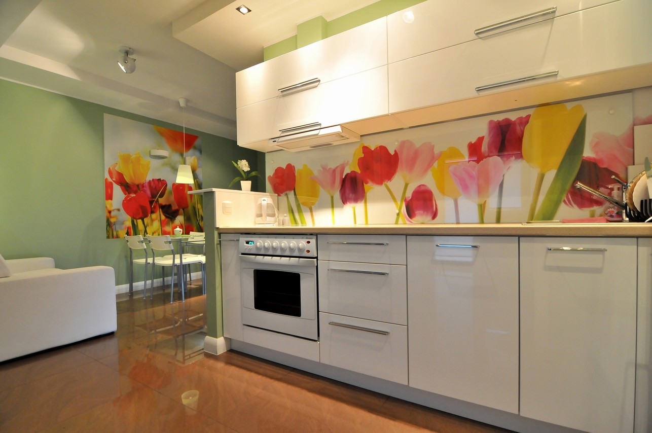 room in beautyfull apartment for rent / wroclaw / poland | room room in beautyfull apartment for rent / wroclaw / poland | room