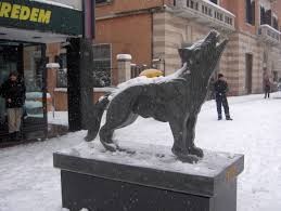 luppo (lobo) simbolo de cosenza