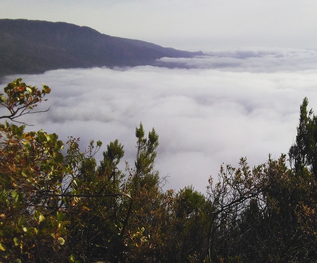 Mar de nubes en Güímar