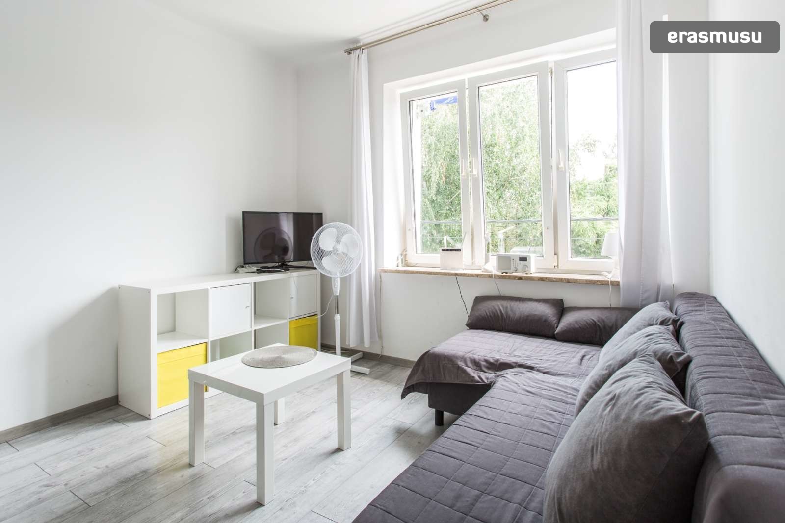 dog friendly 1 bedroom apartments for rent