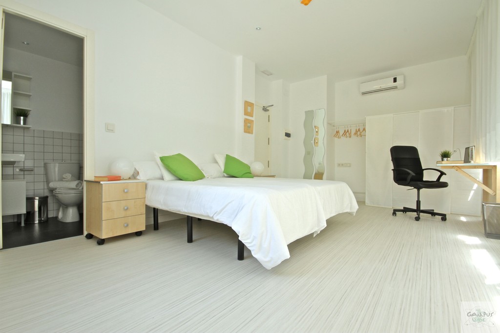 NEW, MODERN AND CENTRIC STUDENT IN GRANADA University