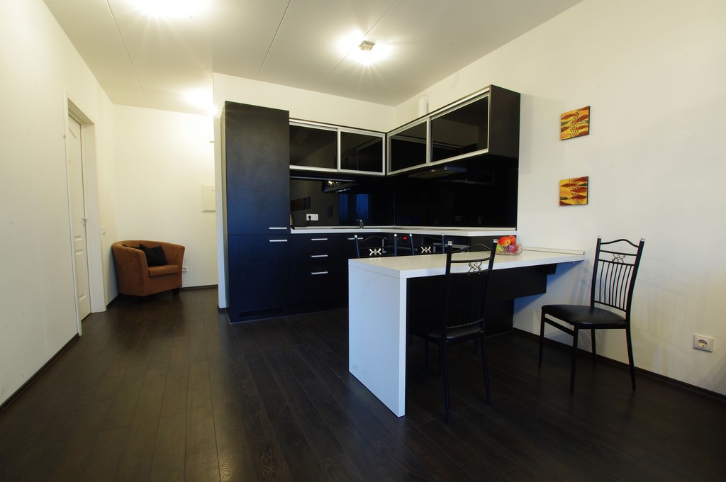 New modern one bedroom apartment for rent in Kaunas Centre ...