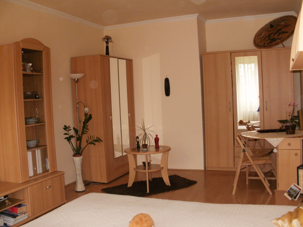 Nice flat in the heart of Szeged Flat rent Szeged
