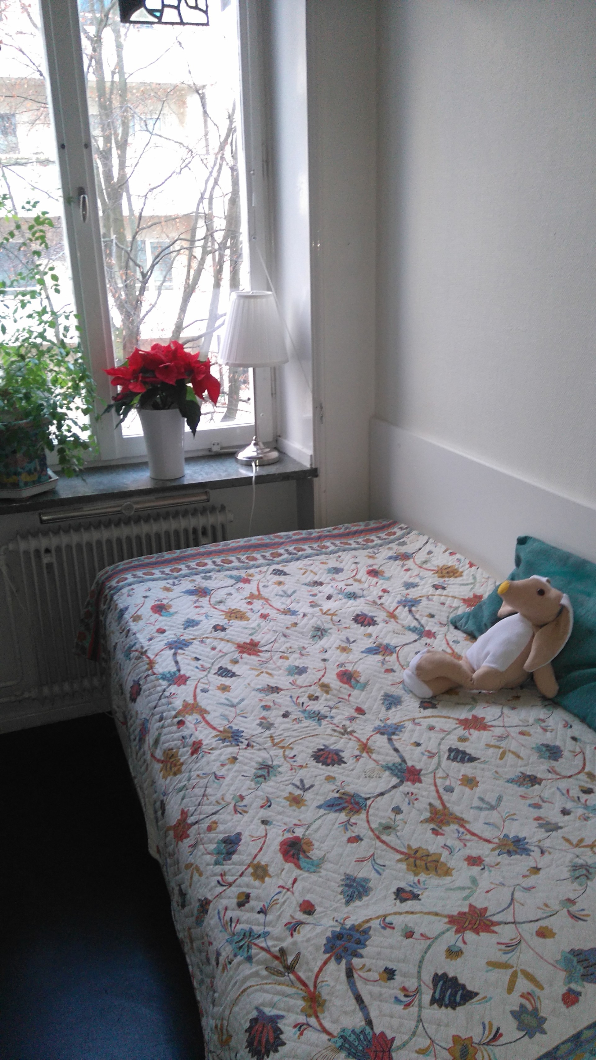 Nice Room In Stockholm To Rent To Working Professional