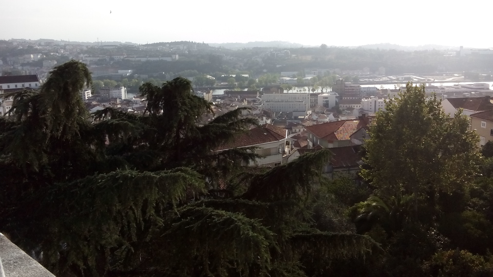 Nice single room close to Coimbra University