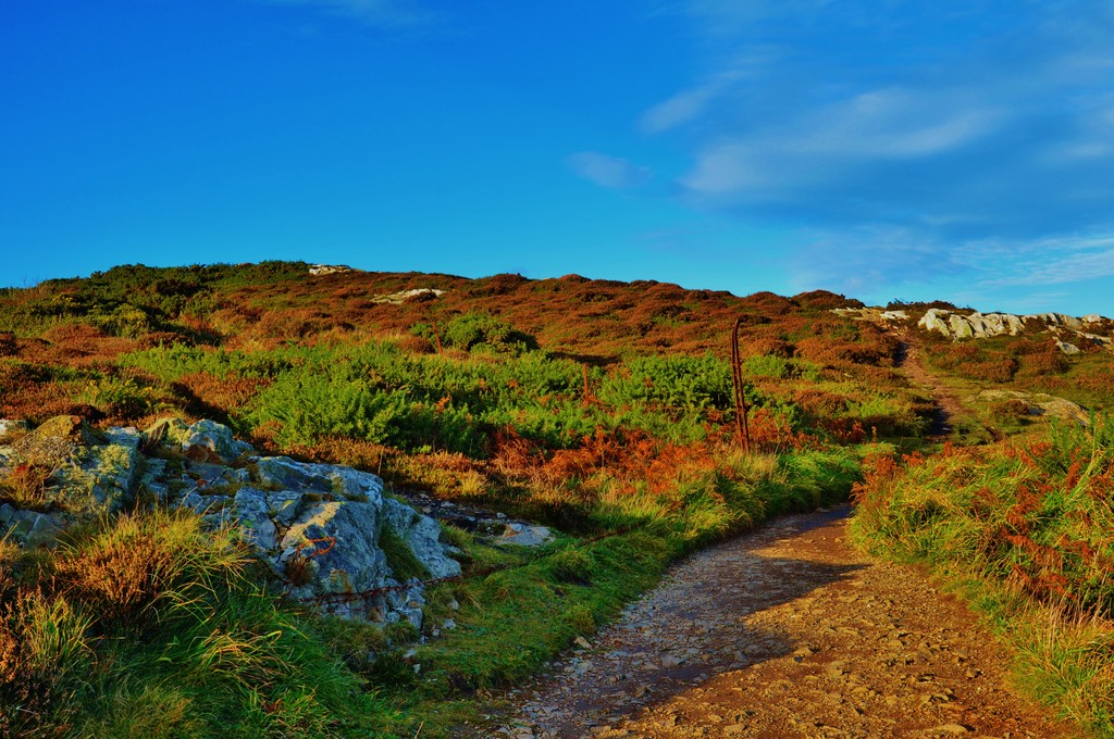 One day In Howth, Ireland 16.
