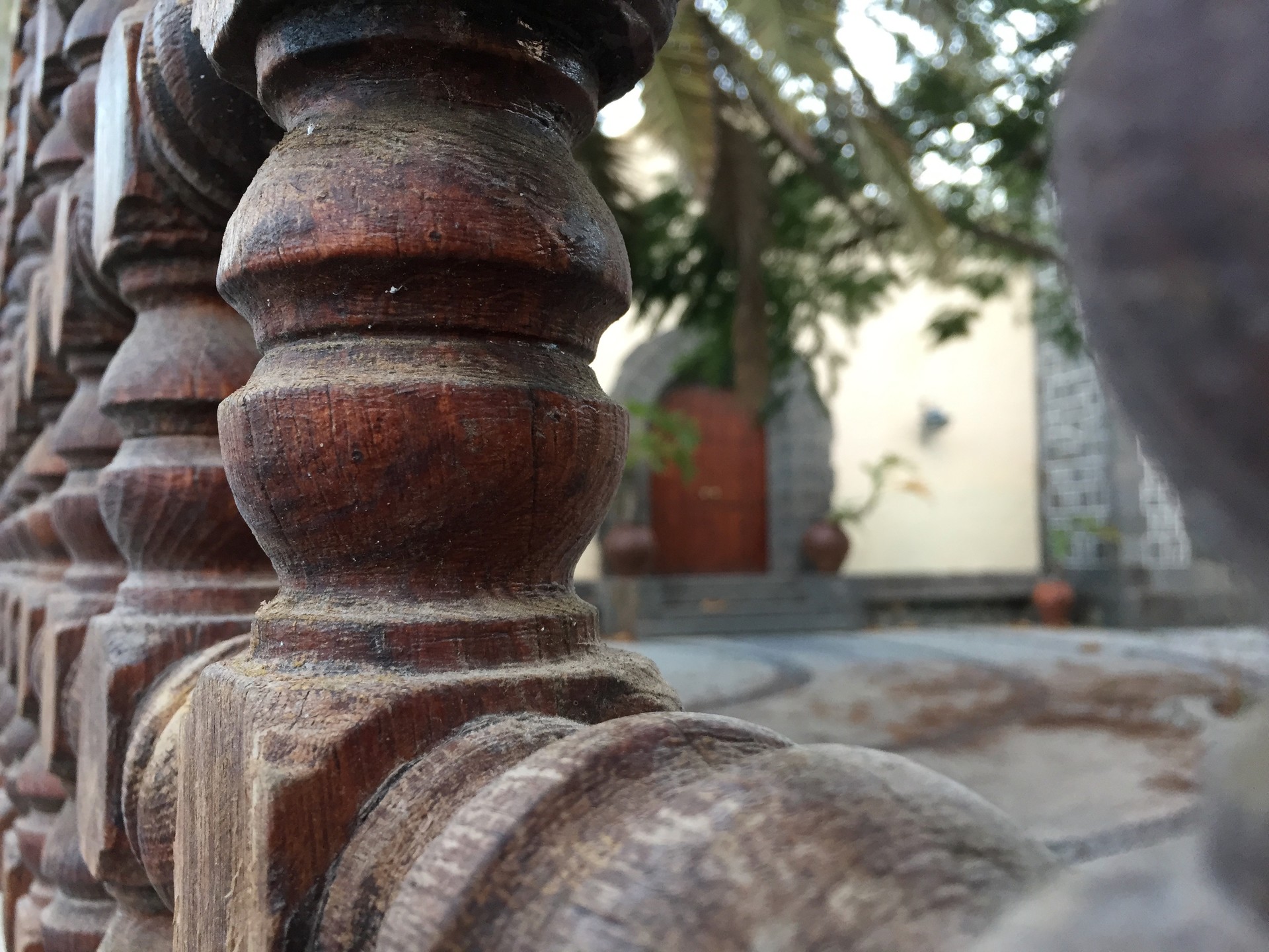 Parque Doramas, Jardín Canario