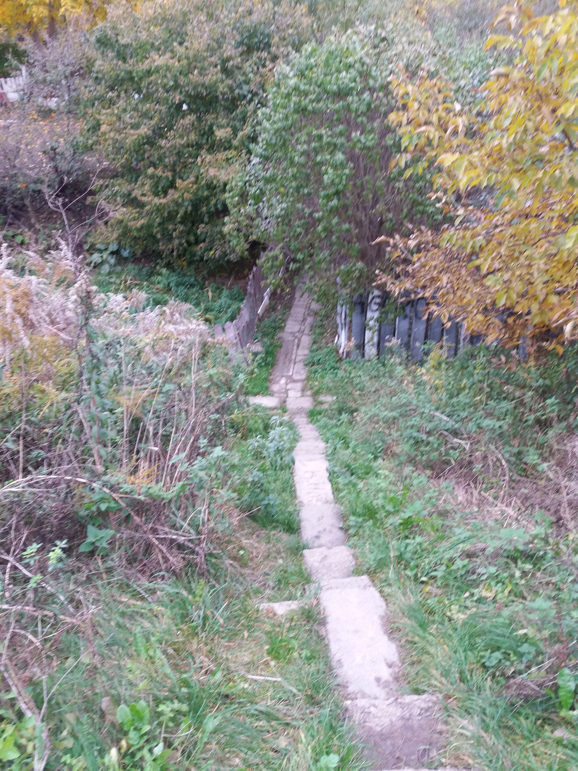 passagem super bonita