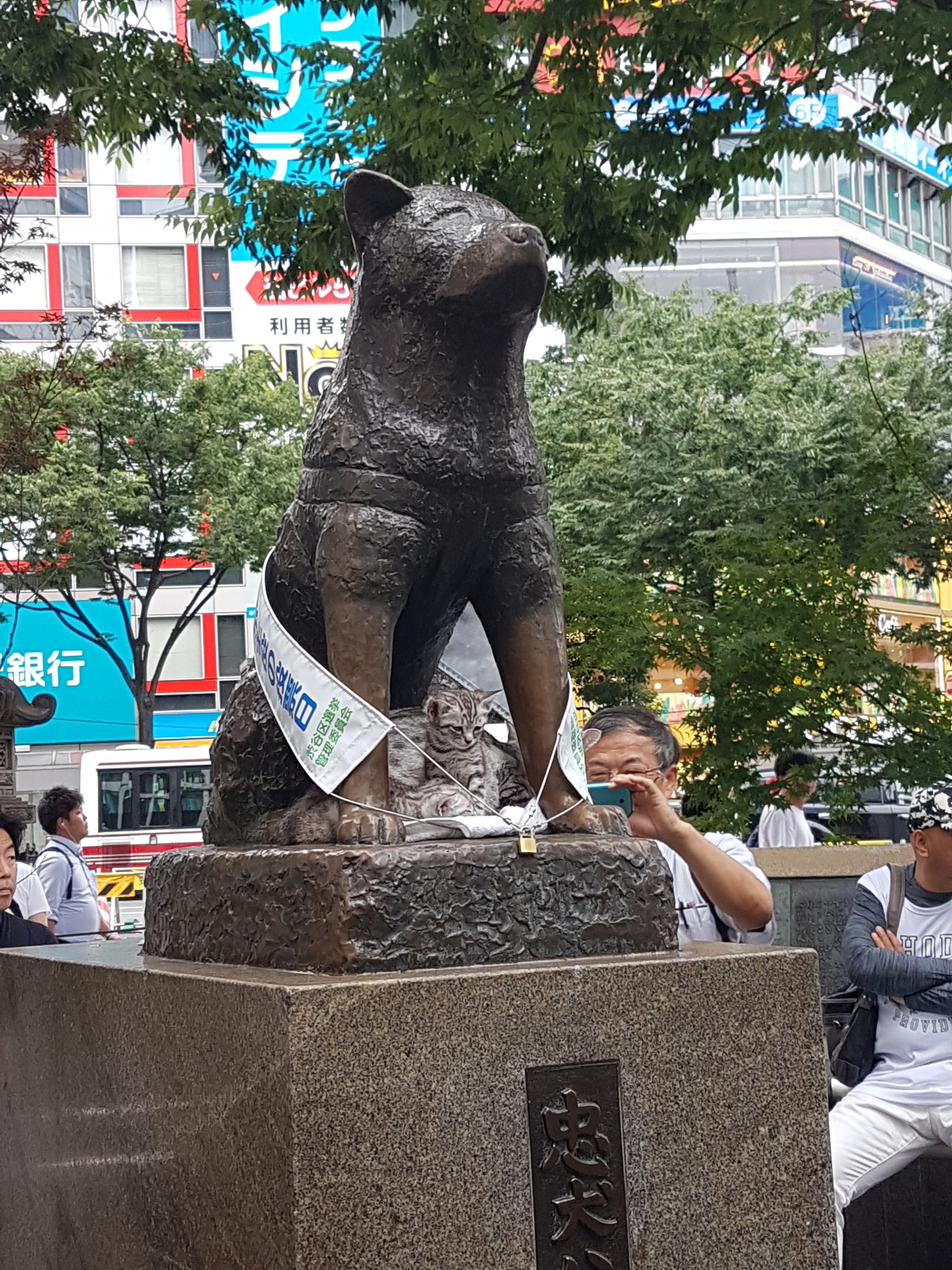 paying-homage-hachiko-d7302fda89efdd5610