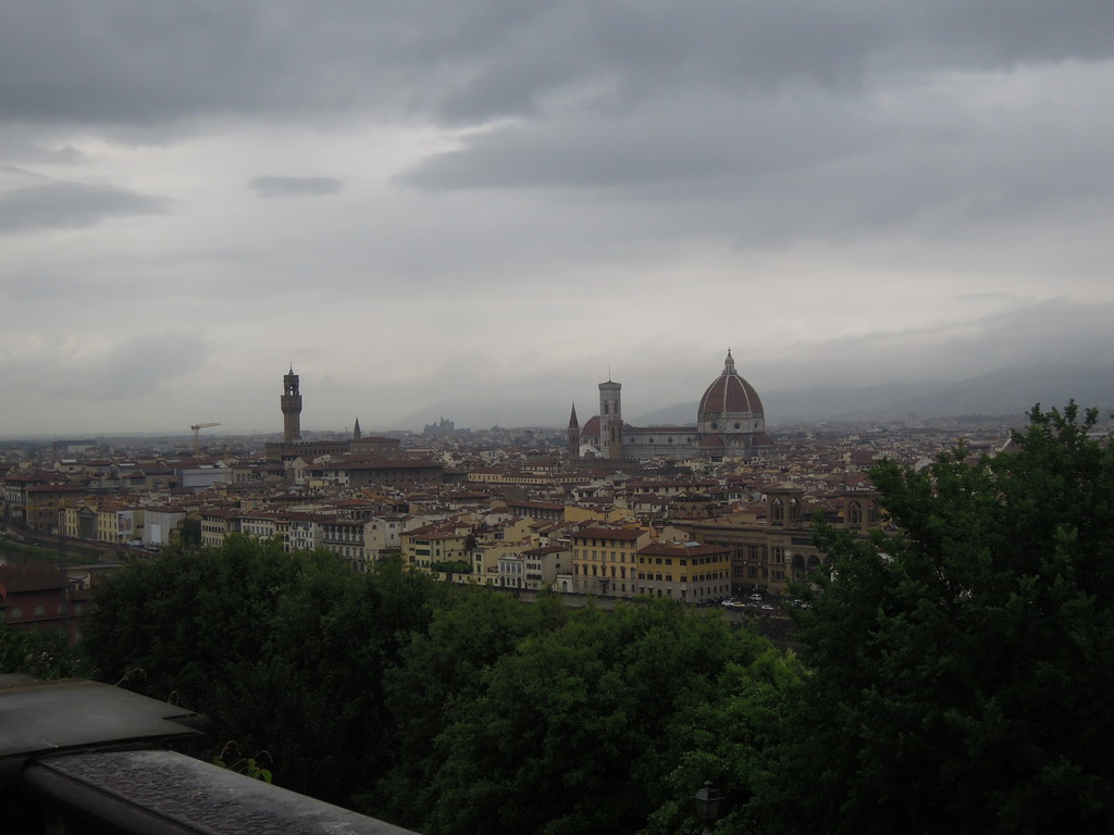 perfect-view-firenze-roses-art-7a6836bfc