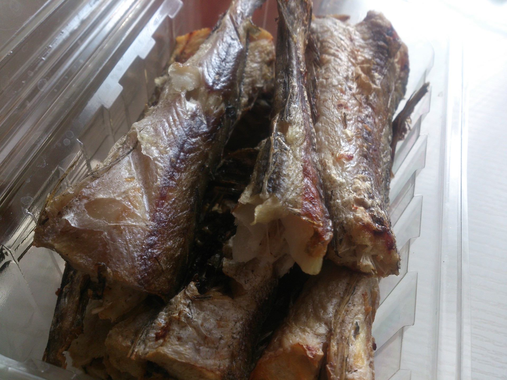 Preparing hake fish in halogen oven