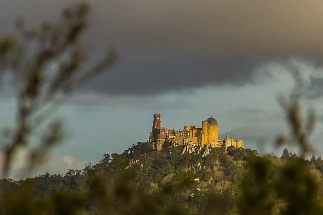 Quarto em apartamento amplo com quatro quartos