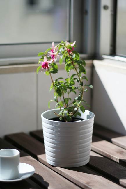 Cozy bedroom near Polo II/ESEC/Polo III (F)