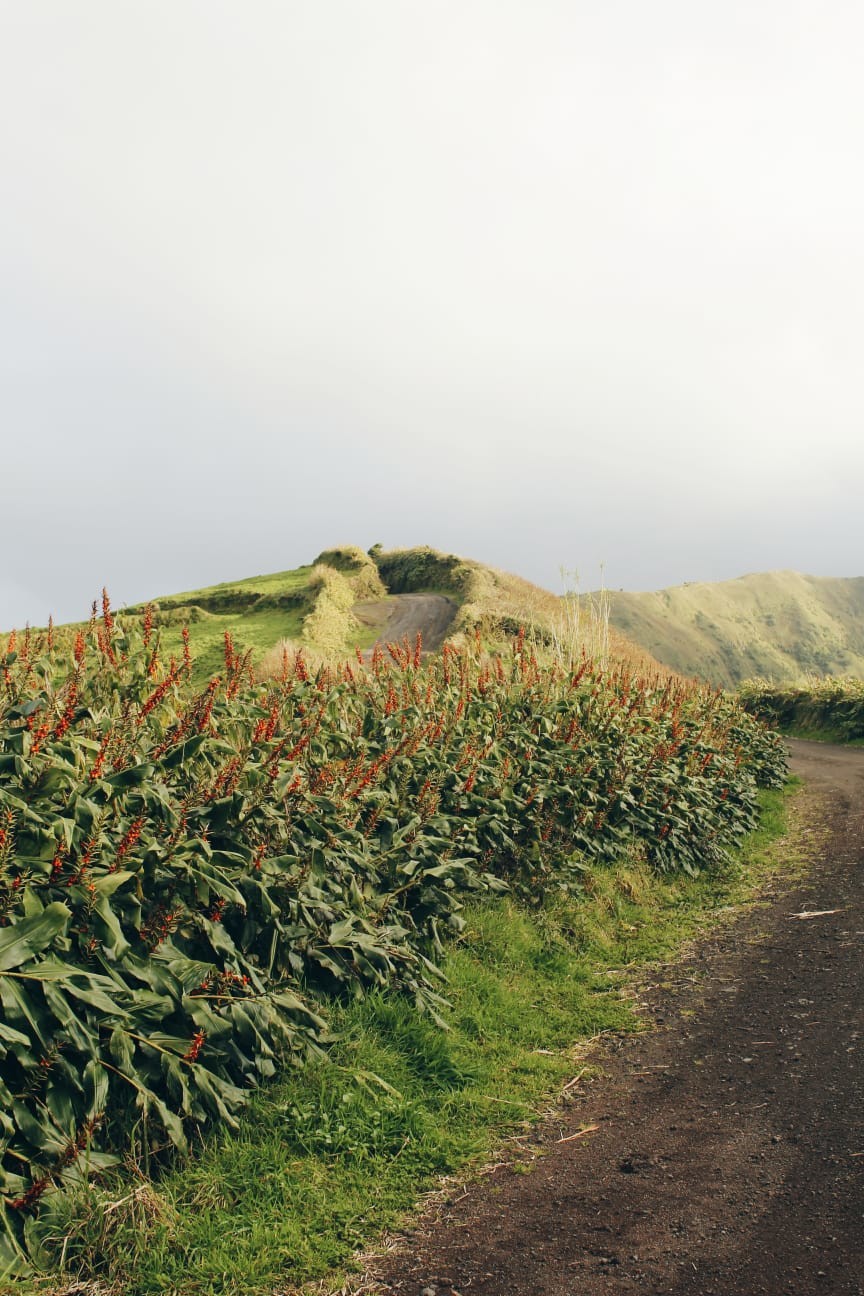 que-lugares-no-te-puedes-perder-azores-p