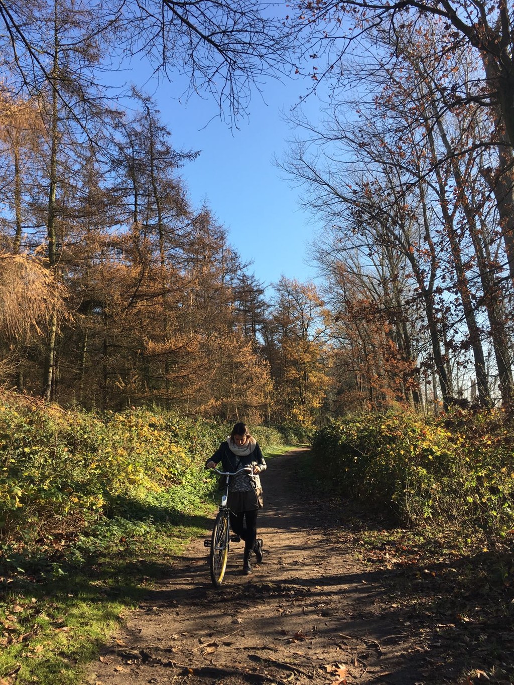 Reserva Natural Bourgoyen-Ossemeersen