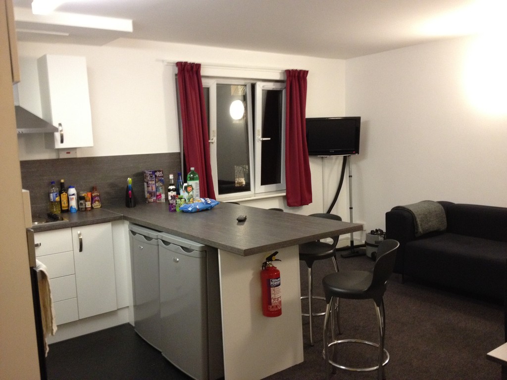 Room with bathroom; fully renewed kitchen and lounge Room for rent