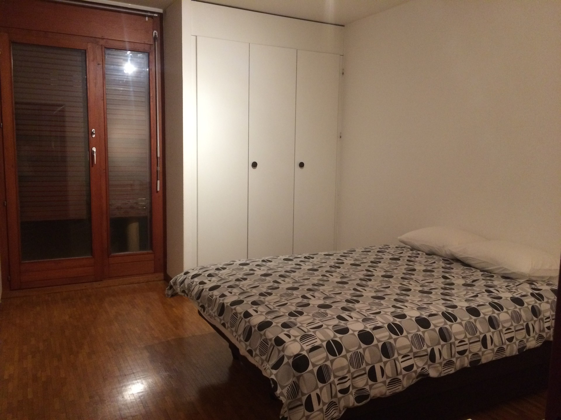 Room For Female Renter In Spacious Geneva Apartment