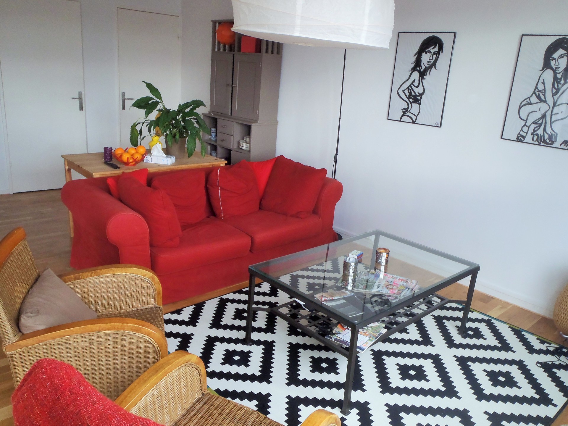 Room for rent in a sunny apartment of Lyon Room for rent Lyon