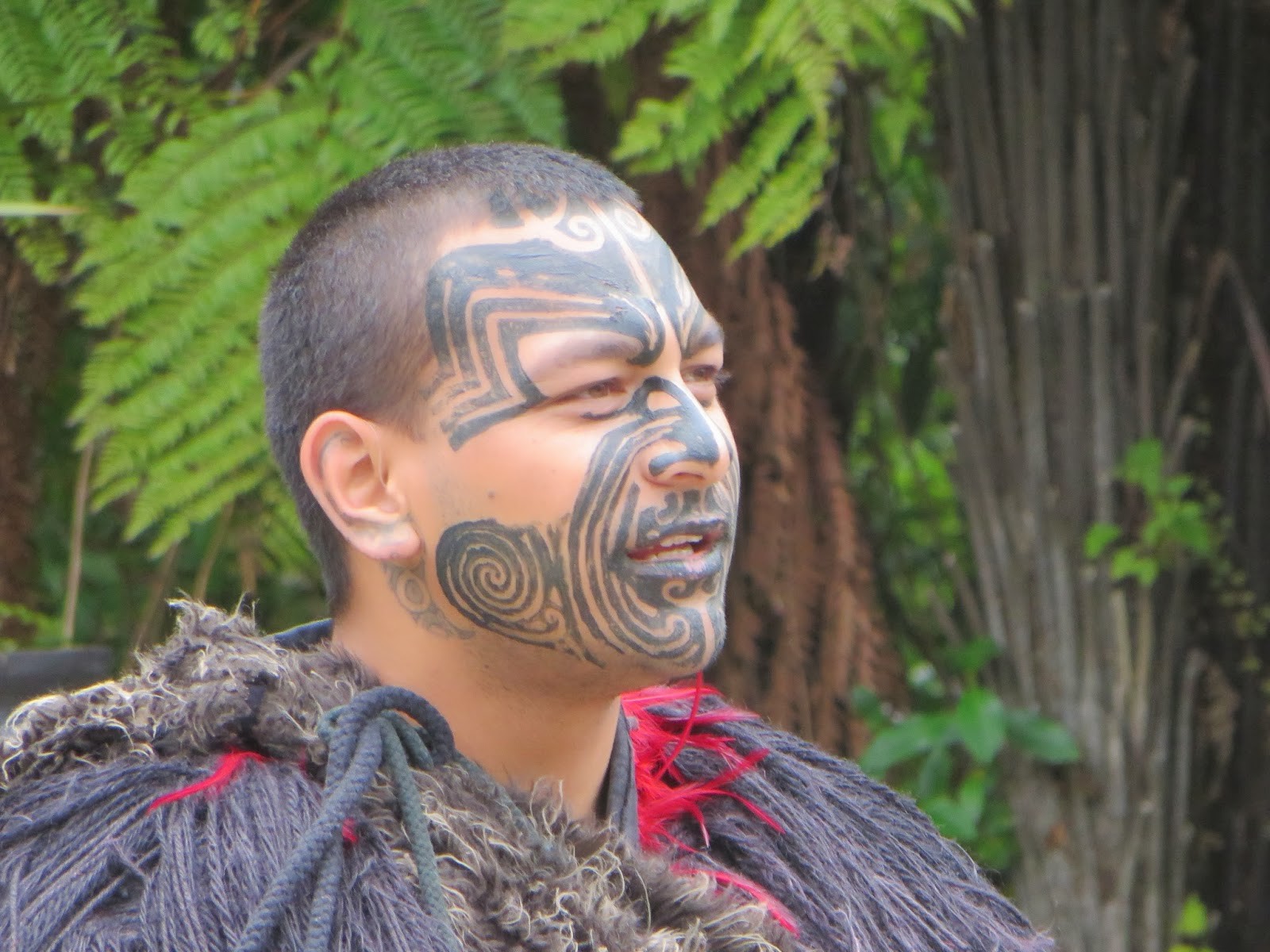 Rotorua: thermal activity and Maori culture | Erasmus blog New Zealand