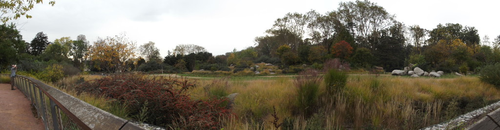 Safari Enclosure, Parc Tete D'Or
