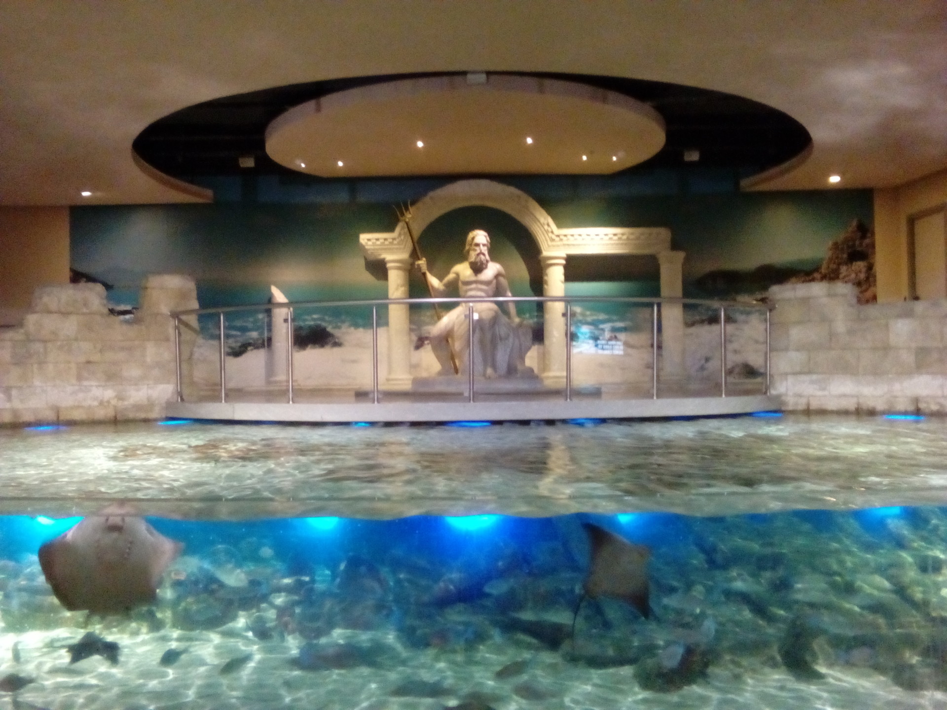 istanbul aquarium at aqua florya what to do in istanbul