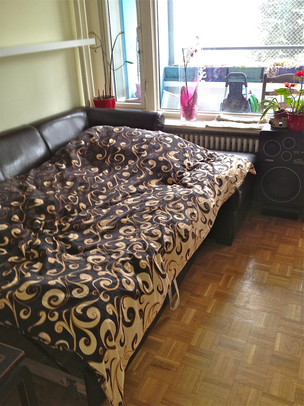 Shared room to rent Room for rent Geneva