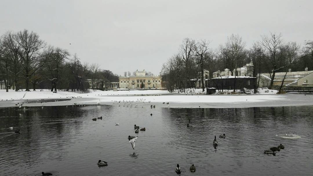 Show in Lazienki Park, Warsaw