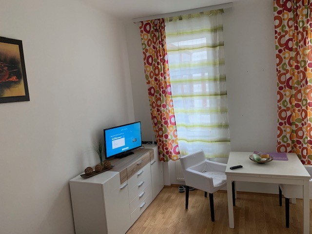 single apartment vienna