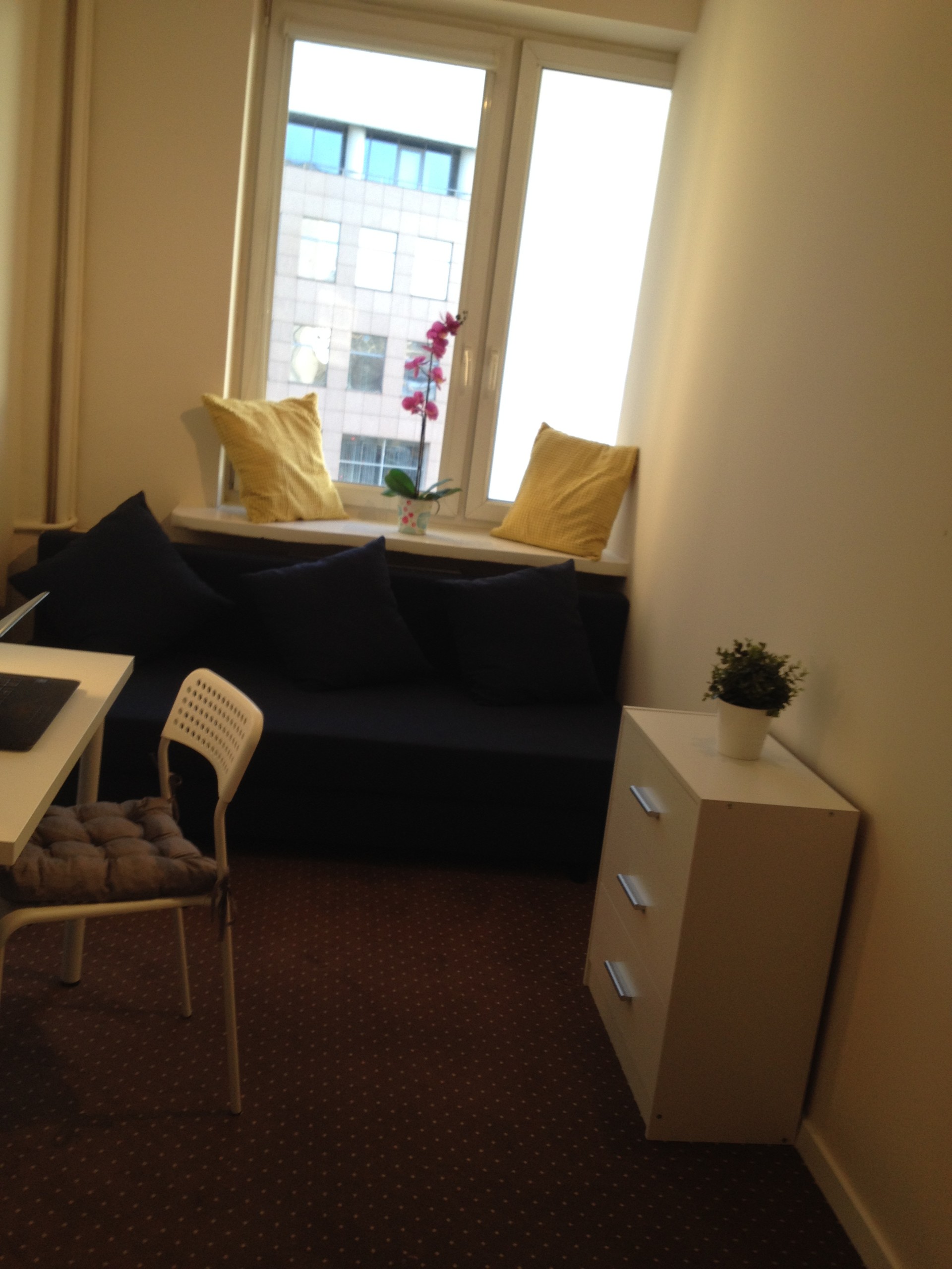 Single room in apartment in the city centre of Warsaw Room for rent