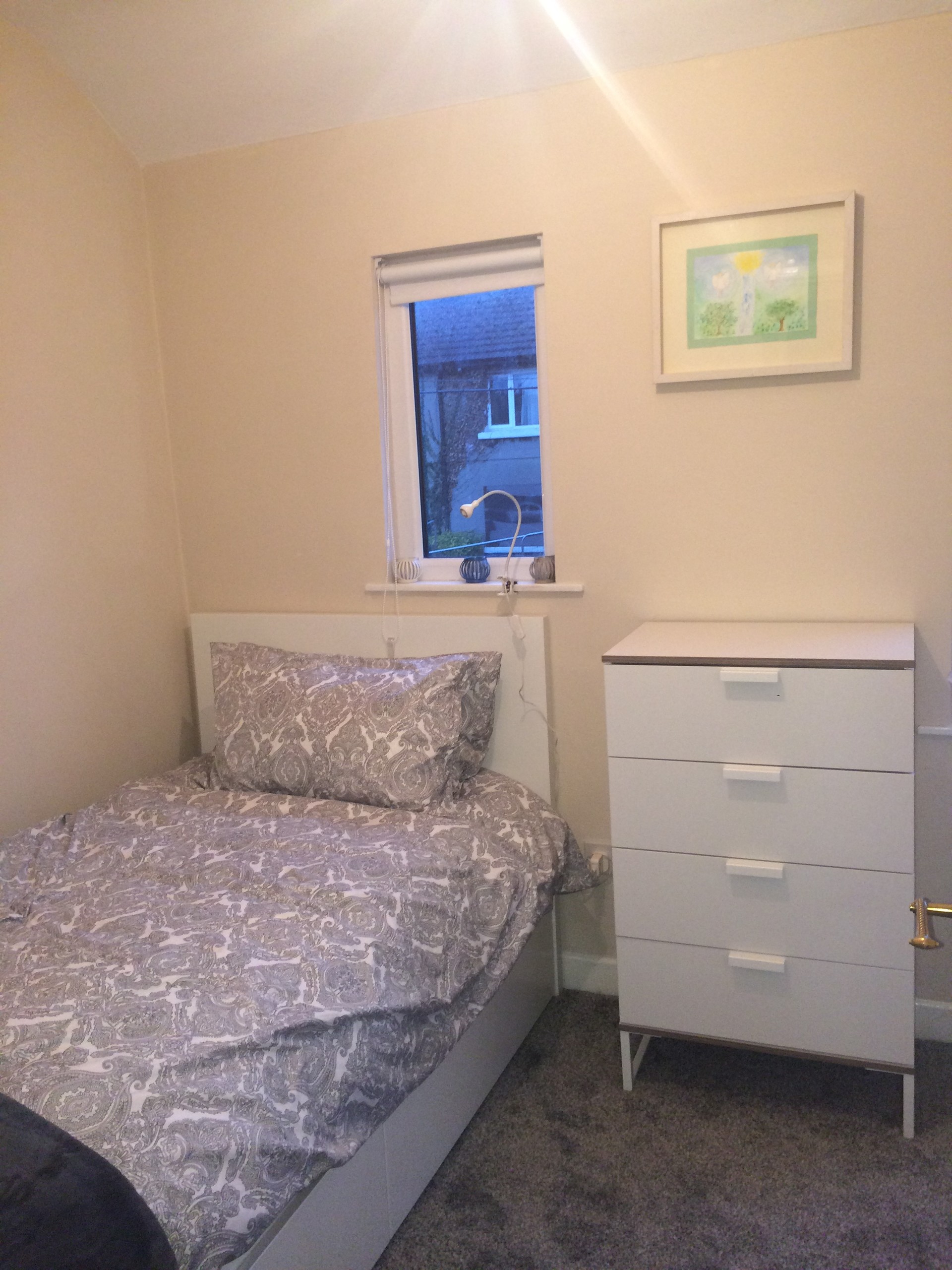 Single room in bright, cosy home close to the sea accessible to UCD, TCD & Dun Laoghaire